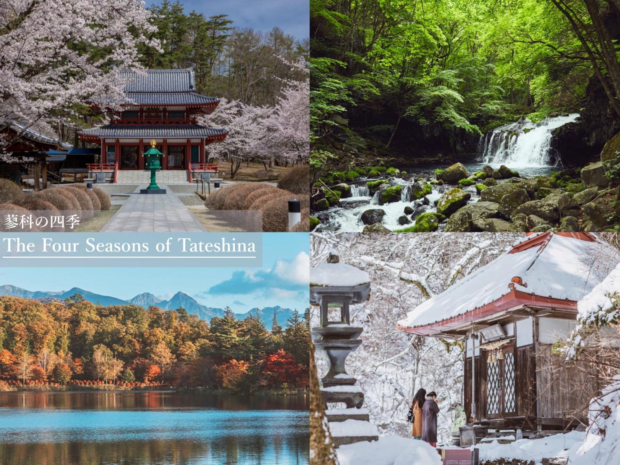Tateshina Shinyu Onsen Ryokan 4*